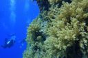 DSC00150.JPG