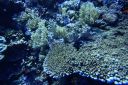 DSC00155.JPG