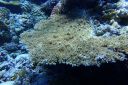 DSC00156.JPG