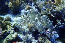 DSC00158.JPG