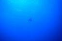DSC00239.JPG
