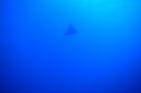 DSC00240.JPG