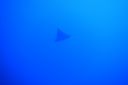 DSC00241.JPG