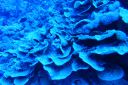 DSC00243.JPG