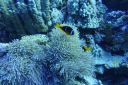 DSC00249.JPG