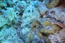 DSC00250.JPG