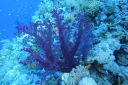 DSC00252.JPG