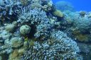 DSC00259.JPG