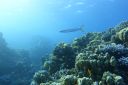 DSC00260.JPG