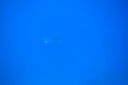 DSC00263.JPG