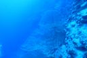 DSC00268.JPG