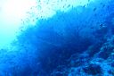 DSC00270.JPG