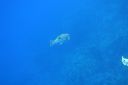 DSC00271.JPG