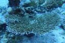 DSC00273.JPG