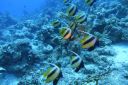 DSC00280.JPG