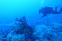 DSC00289.JPG