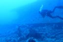 DSC00290.JPG