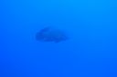 DSC00291.JPG