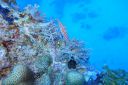 DSC00299.JPG