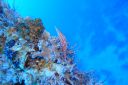 DSC00300.JPG