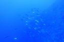 DSC00307.JPG