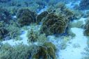DSC00310.JPG