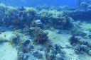 DSC00311.JPG