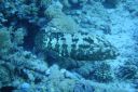 DSC00319.JPG