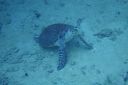 DSC00320.JPG