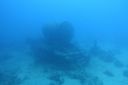DSC00325.JPG