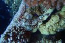 DSC00393.JPG