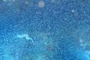 DSC00396.JPG