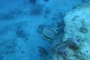 DSC00399.JPG