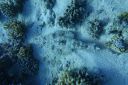 DSC00403.JPG