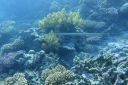 DSC00404.JPG