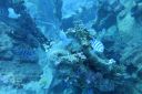 DSC00406.JPG