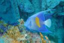 DSC00410.JPG