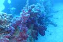DSC00415.JPG