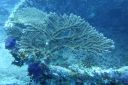 DSC00416.JPG