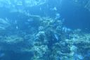 DSC00418.JPG