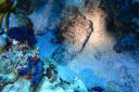 DSC00420.JPG