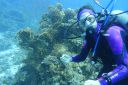 DSC00423.JPG