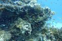 DSC00424.JPG