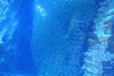DSC00429.JPG