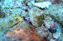 DSC00433.JPG