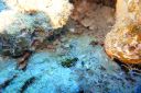 DSC00440.JPG