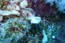 DSC00447.JPG