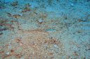 DSC00449.JPG