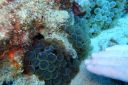 DSC00450.JPG
