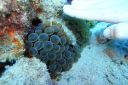 DSC00451.JPG